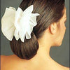 Page Boy Chignon Synthetic Hair Extension + Barrette Clip | Look of Love 235 - Style 235 / PAGE BOY CHIGNON FOR THE NAPE by Look of Love