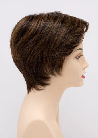 Paula Wig - Premium Human Hair Blend | Heat - Friendly Synthetic Wig by Envy - Image Maker Wigs Online