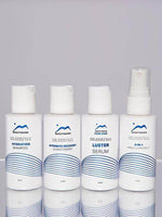 Beautimark Pure Care Human Hair Wig Travel Must Haves Kit 4pc - Image Maker Wigs Online