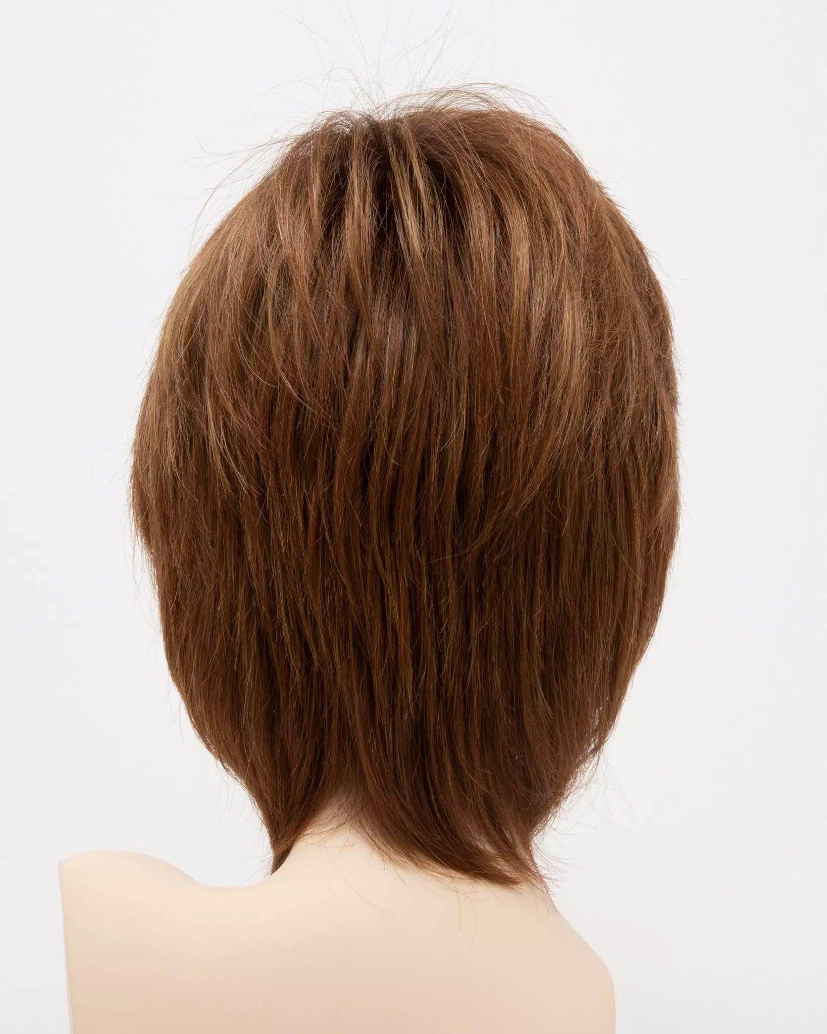 COTI | Blended Hair | Lace Front | Mono Top |Human Synthetic Blend Wig | Envy | Alan Eaton - Image Maker Wigs Online