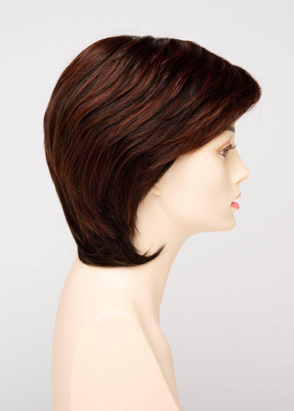 COTI | Blended Hair | Lace Front | Mono Top |Human Synthetic Blend Wig | Envy | Alan Eaton - Image Maker Wigs Online