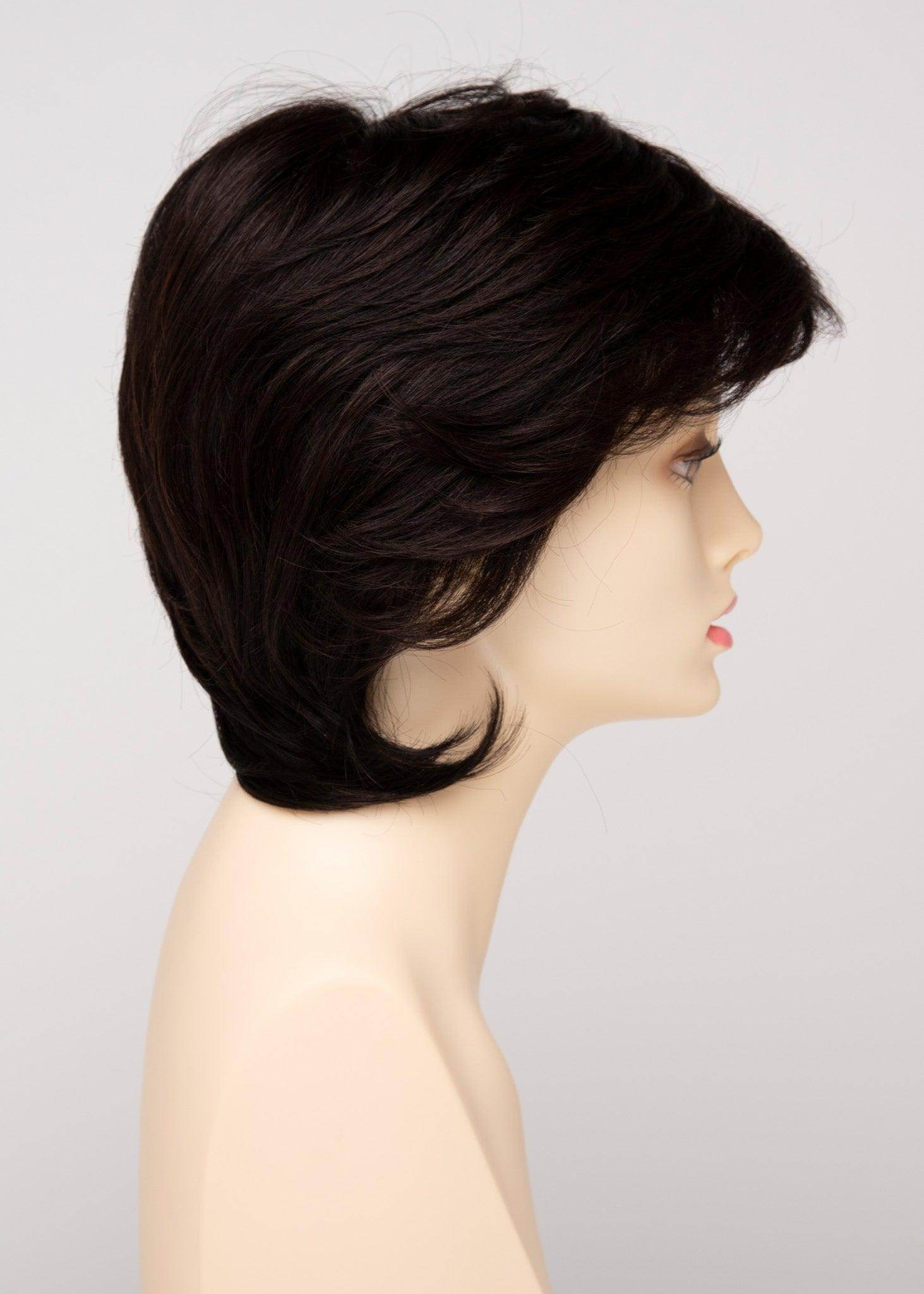 COTI | Blended Hair | Lace Front | Mono Top |Human Synthetic Blend Wig | Envy | Alan Eaton - Image Maker Wigs Online
