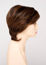 COTI | Blended Hair | Lace Front | Mono Top |Human Synthetic Blend Wig | Envy | Alan Eaton - Image Maker Wigs Online
