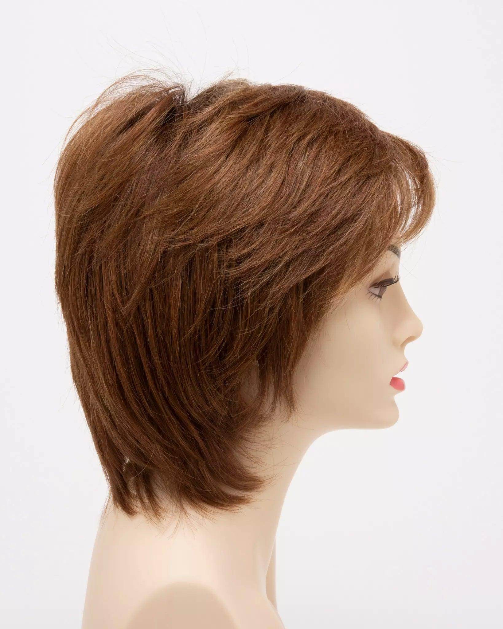 COTI | Blended Hair | Lace Front | Mono Top |Human Synthetic Blend Wig | Envy | Alan Eaton - Image Maker Wigs Online