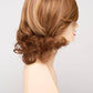 Danielle | Human Synthetic Blend | Mono Top | Lace Front | Synthetic Wig | Envy |Alan Eaton - Image Maker Wigs Online