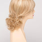 Danielle | Human Synthetic Blend | Mono Top | Lace Front | Synthetic Wig | Envy |Alan Eaton - Image Maker Wigs Online