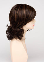 Danielle | Human Synthetic Blend | Mono Top | Lace Front | Synthetic Wig | Envy |Alan Eaton - Image Maker Wigs Online