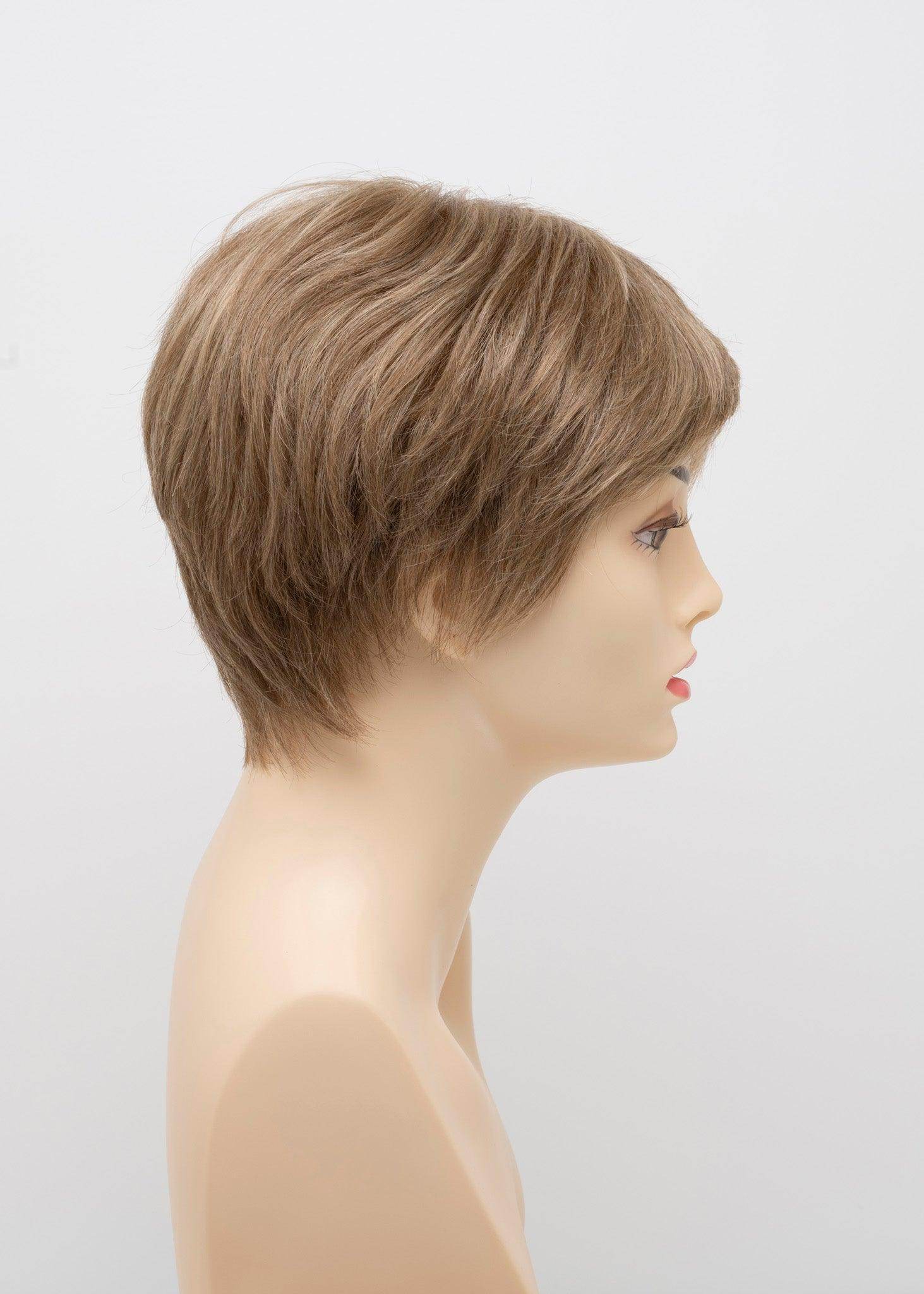 DESTINY | Human Synthetic Wig | Blended Hair | Mono Top | Lace Front | Hand - tied | Envy | Alan Eaton - Image Maker Wigs Online