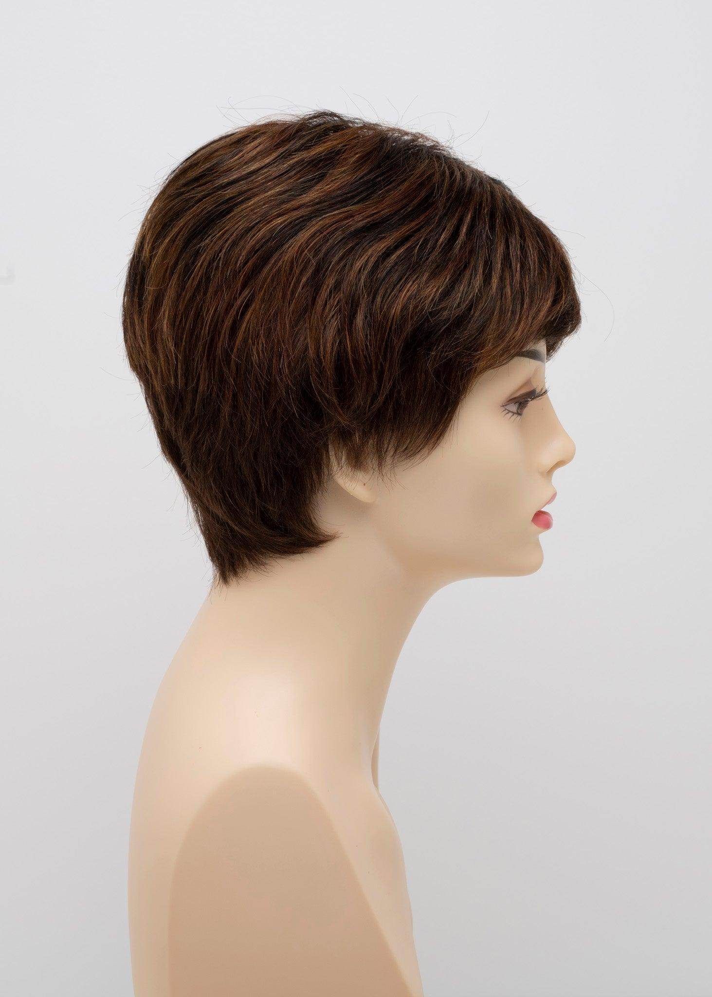 DESTINY | Human Synthetic Wig | Blended Hair | Mono Top | Lace Front | Hand - tied | Envy | Alan Eaton - Image Maker Wigs Online