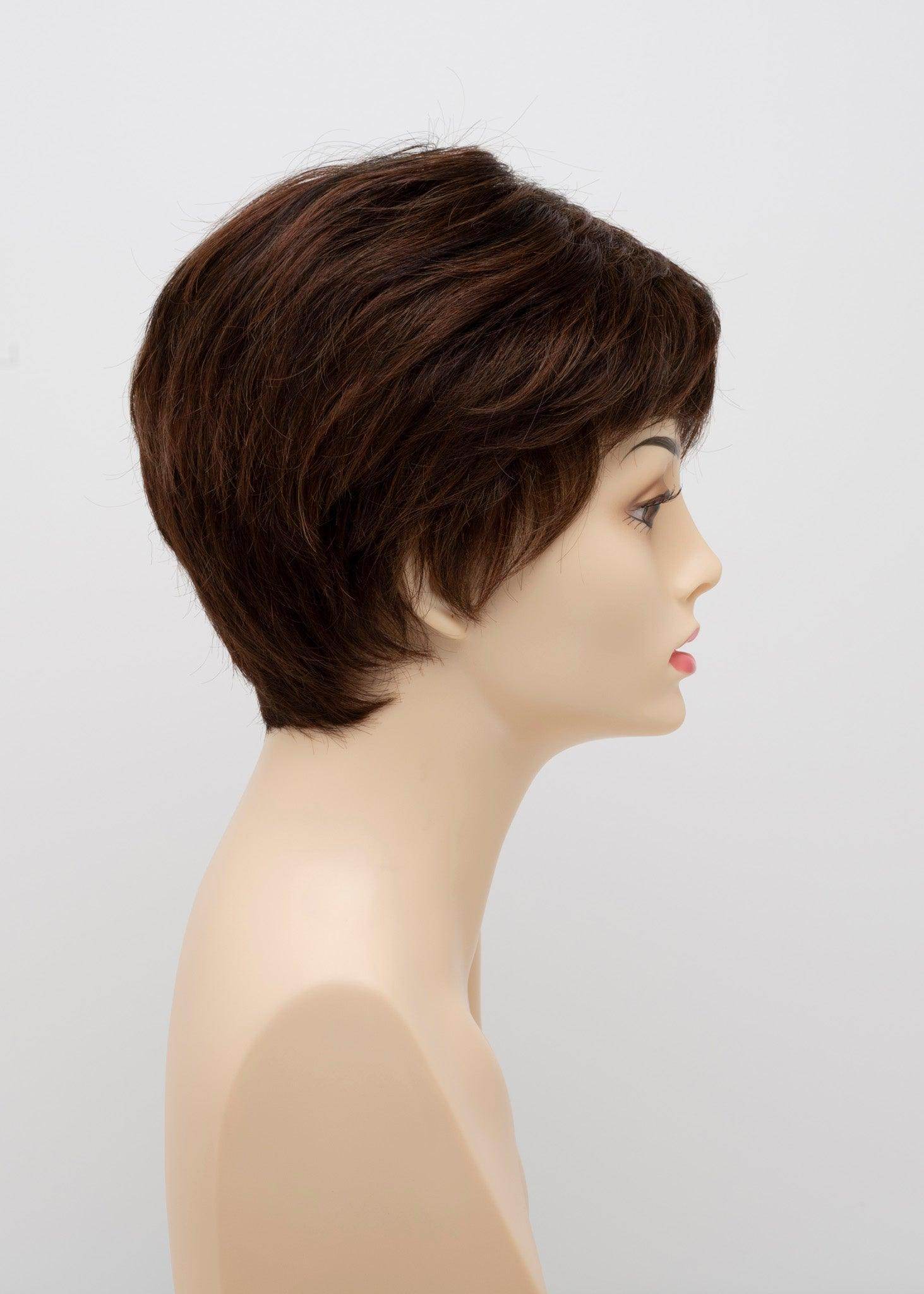 DESTINY | Human Synthetic Wig | Blended Hair | Mono Top | Lace Front | Hand - tied | Envy | Alan Eaton - Image Maker Wigs Online