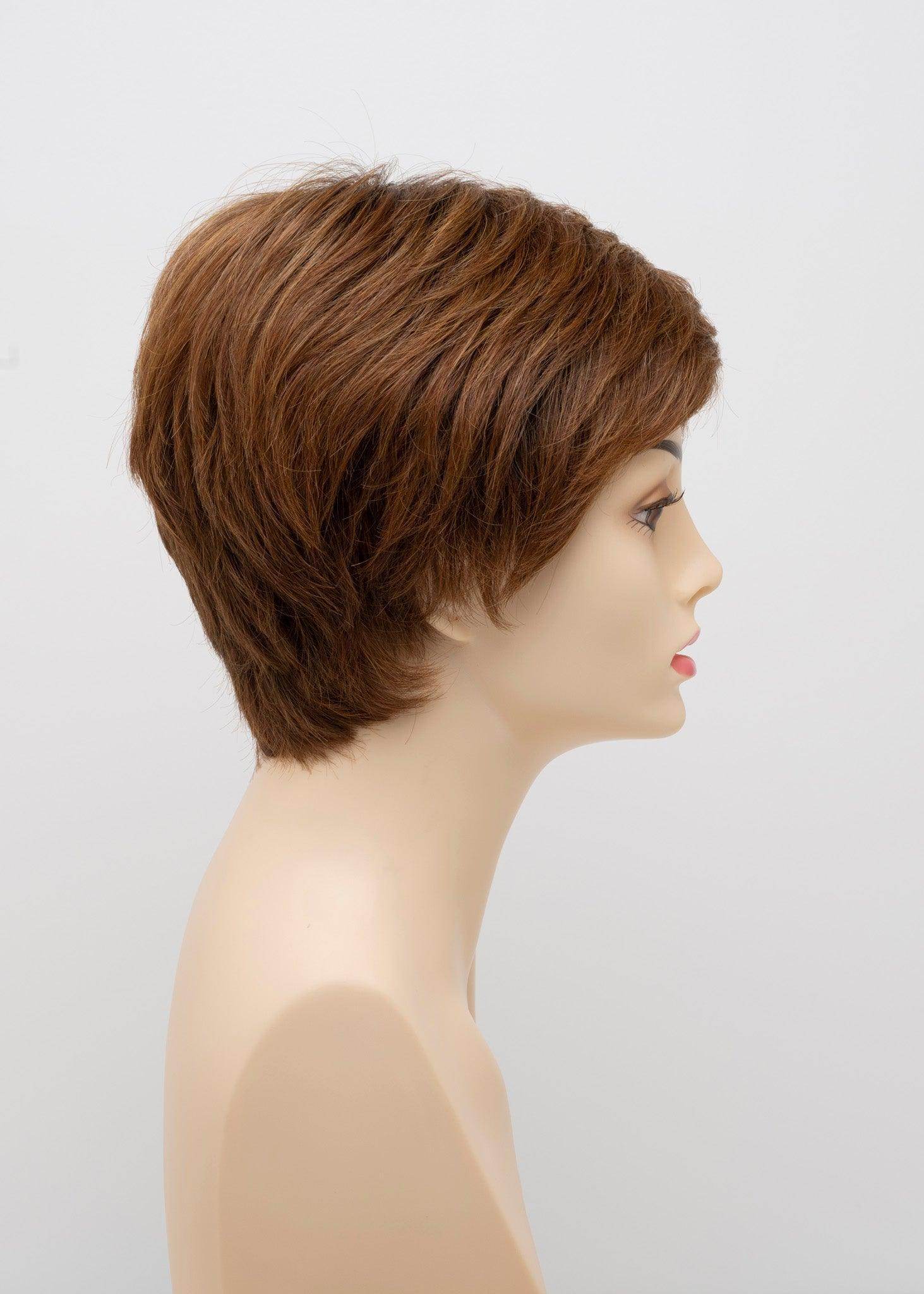 DESTINY | Human Synthetic Wig | Blended Hair | Mono Top | Lace Front | Hand - tied | Envy | Alan Eaton - Image Maker Wigs Online
