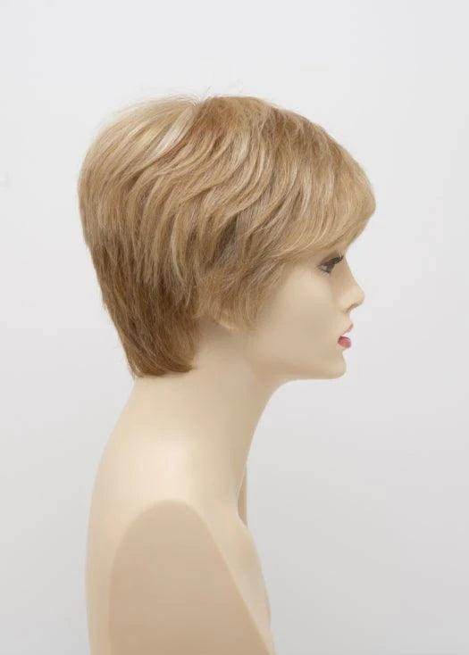 DESTINY | Human Synthetic Wig | Blended Hair | Mono Top | Lace Front | Hand - tied | Envy | Alan Eaton - Image Maker Wigs Online
