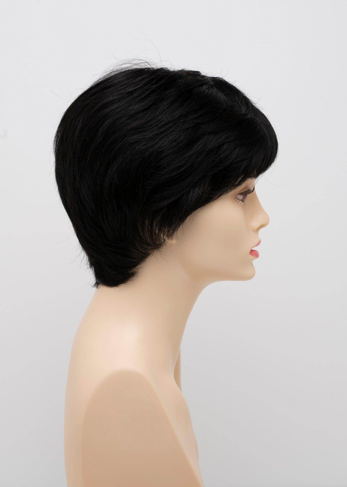 DESTINY | Human Synthetic Wig | Blended Hair | Mono Top | Lace Front | Hand - tied | Envy | Alan Eaton - Image Maker Wigs Online