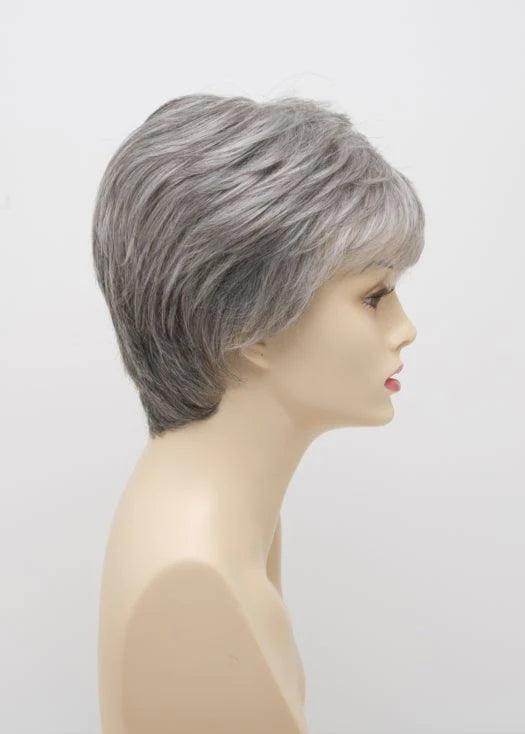 DESTINY | Human Synthetic Wig | Blended Hair | Mono Top | Lace Front | Hand - tied | Envy | Alan Eaton - Image Maker Wigs Online