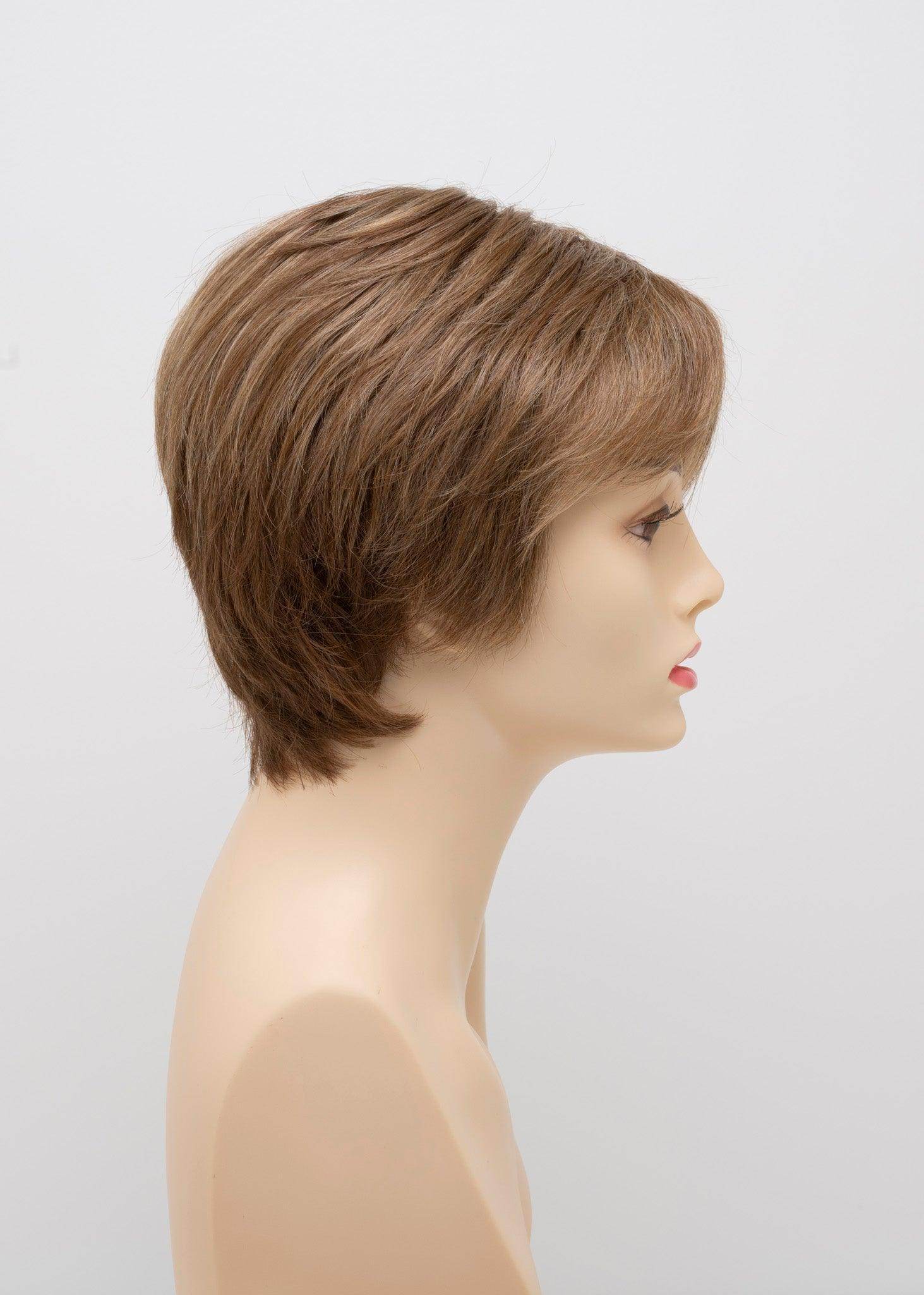 DESTINY | Human Synthetic Wig | Blended Hair | Mono Top | Lace Front | Hand - tied | Envy | Alan Eaton - Image Maker Wigs Online