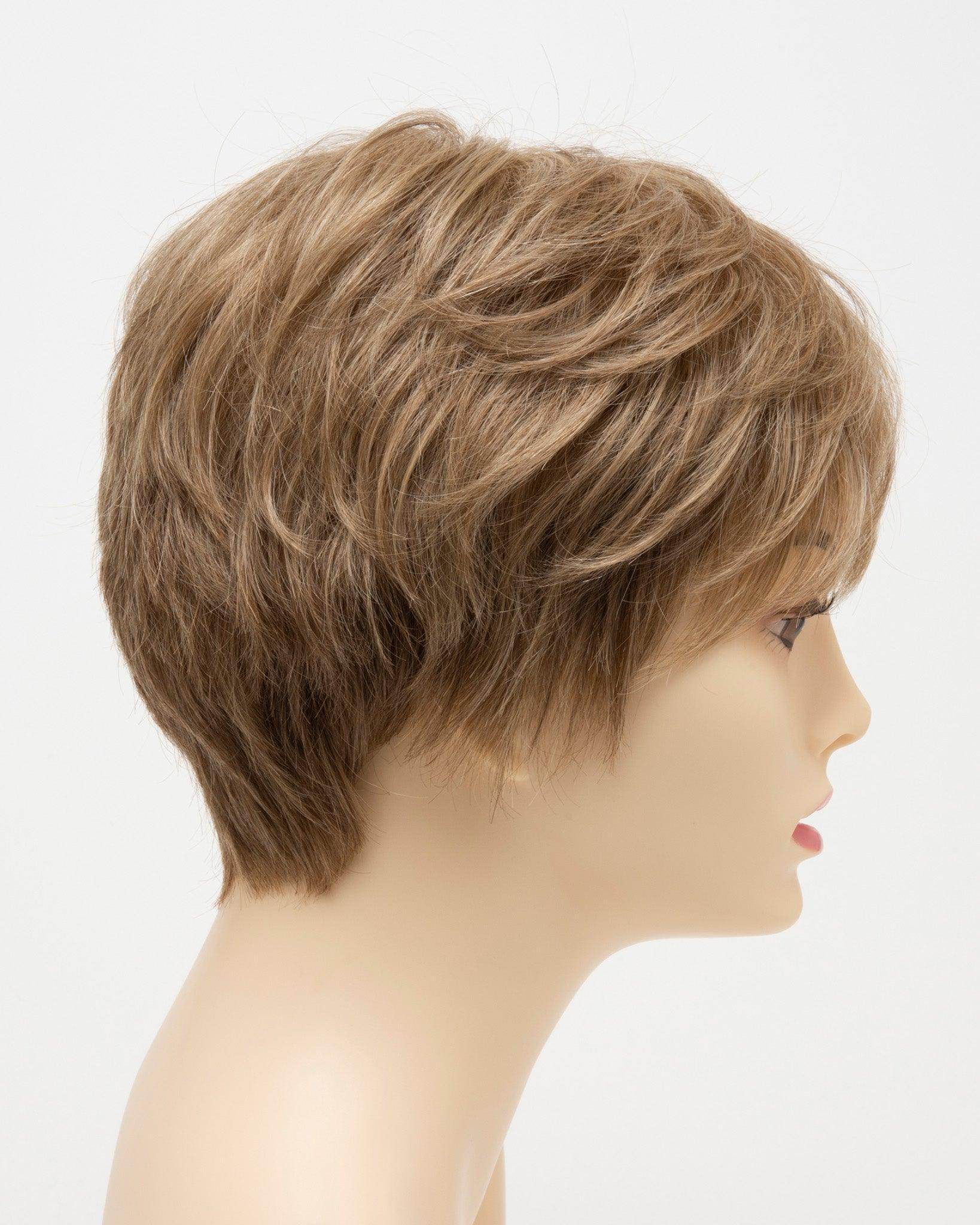 DESTINY | Human Synthetic Wig | Blended Hair | Mono Top | Lace Front | Hand - tied | Envy | Alan Eaton - Image Maker Wigs Online