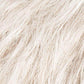 Risk Comfort | Hair Power | Synthetic Wig | Ellen WIlle - Image Maker Wigs Online